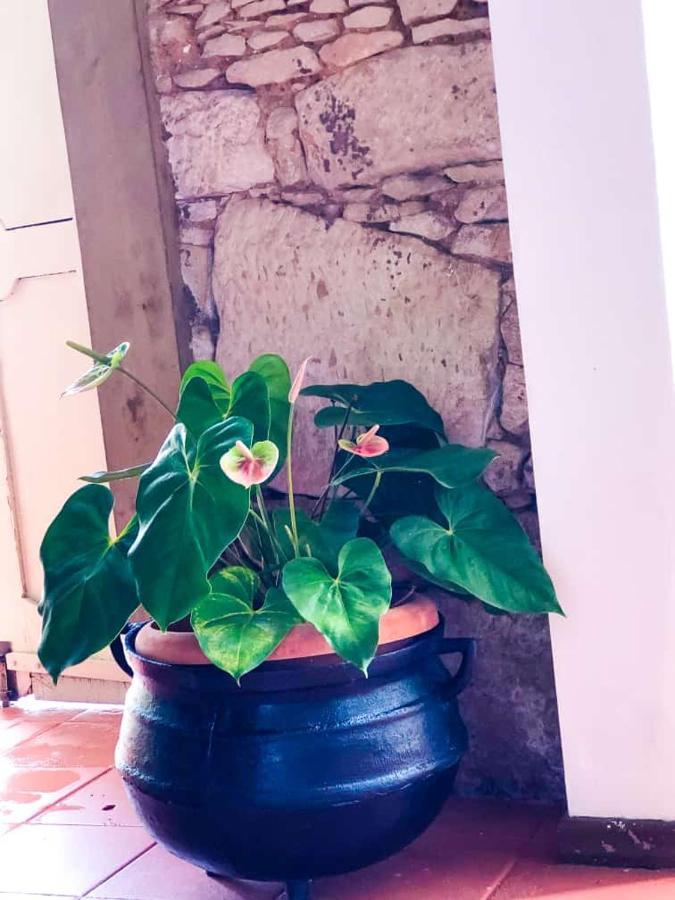 Pousada Colonial Penedo - Alagoas Zewnętrze zdjęcie